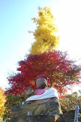 花の寺 宝積寺「宝桜の庭」樹木葬