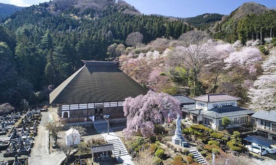 花の寺 宝積寺「宝桜の庭」樹木葬