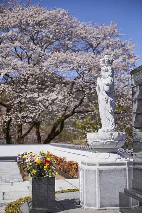 花の寺 宝積寺「宝桜の庭」樹木葬
