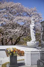 花の寺 宝積寺「宝桜の庭」樹木葬の画像