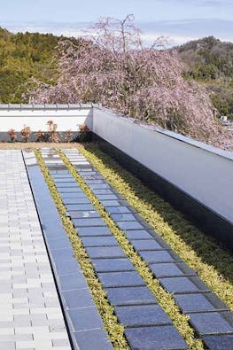 花の寺 宝積寺「宝桜の庭」樹木葬