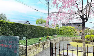 大源寺 樹木葬・納骨堂