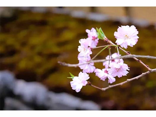 大源寺 納骨堂