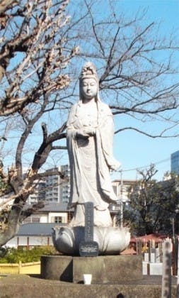 仙龍寺 永代供養墓