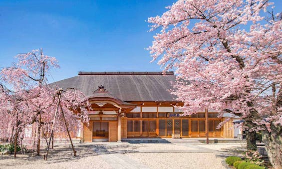 慈眼院・樹木葬 永代供養墓