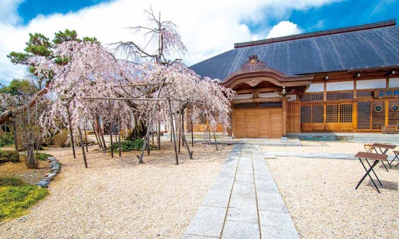 慈眼院・樹木葬 永代供養墓