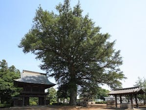 壬生樹木葬墓地の画像