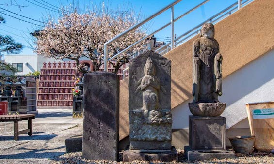 大信寺・樹木葬 永代供養墓