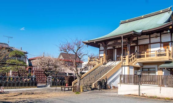 大信寺・樹木葬 永代供養墓