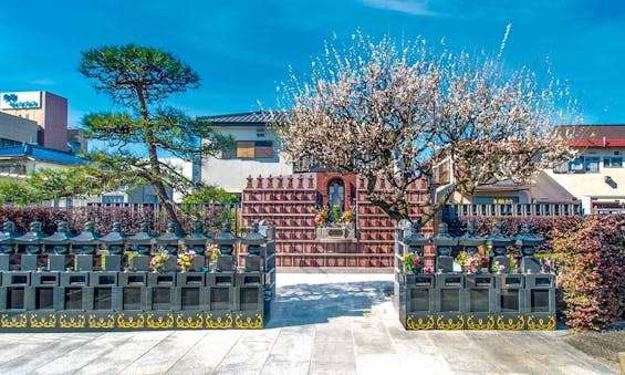 大信寺・樹木葬 永代供養墓