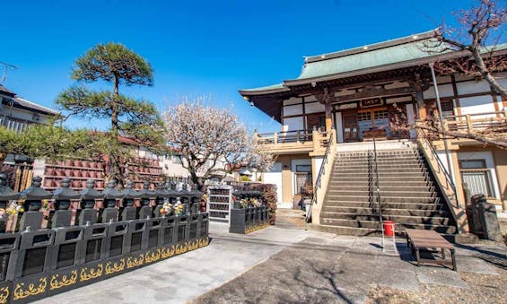 大信寺・樹木葬 永代供養墓