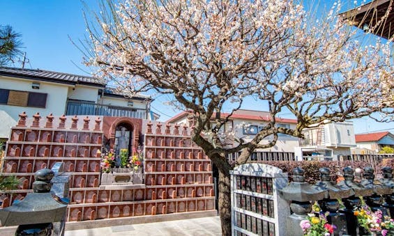 大信寺・樹木葬 永代供養墓