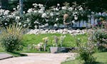 やすらぎの花の里 所沢西武霊園 樹木葬型永代供養墓「凛」ゾーン