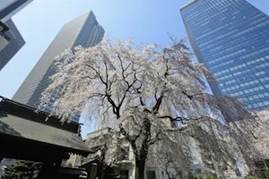 新宿 常圓寺(西新宿駅)の永代供養墓