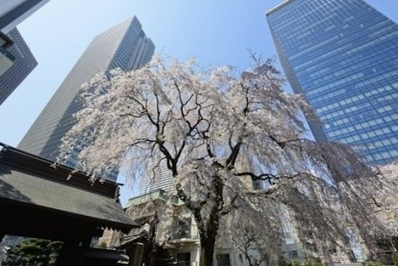 新宿 常圓寺