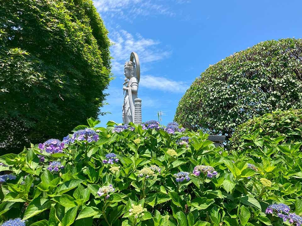 つくばみらい こもれびの杜