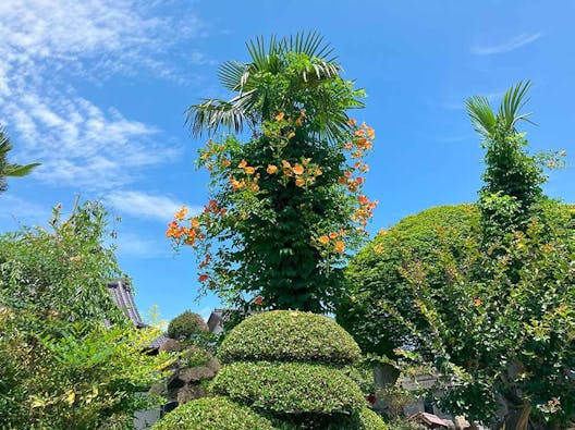 つくばみらい こもれびの杜