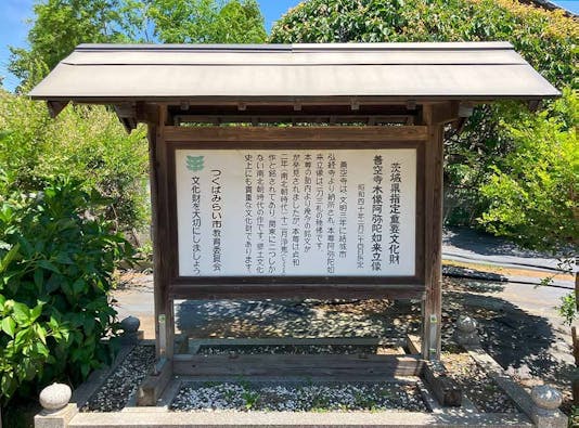 つくばみらい こもれびの杜