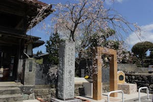 光澤寺 境内樹木葬＆本堂納骨堂の画像