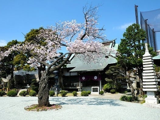 愛甲石田樹木葬墓地