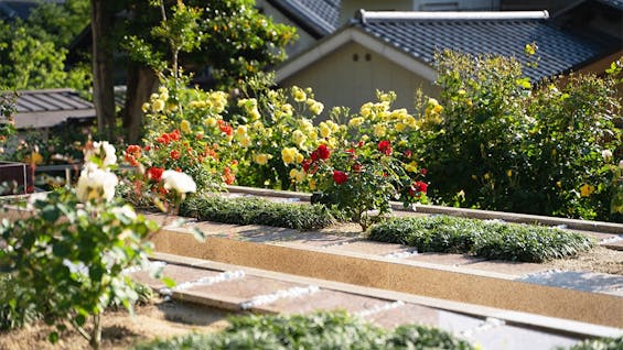 淨國寺 花の樹木葬・永代供養墓