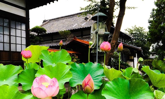 長慶寺永代供養墓『大乗の空』