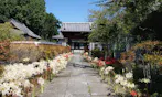 長慶寺永代供養墓『大乗の空』