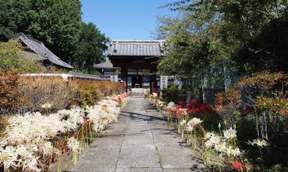 長慶寺永代供養墓『大乗の空』