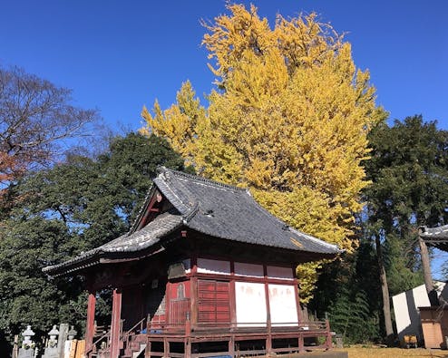 長慶寺永代供養墓『大乗の空』