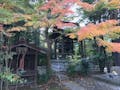 圓應寺 のうこつぼ 紅葉