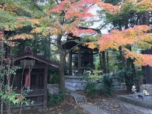 圓應寺 のうこつぼ