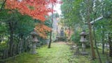 圓應寺 のうこつぼ 境内の紅葉
