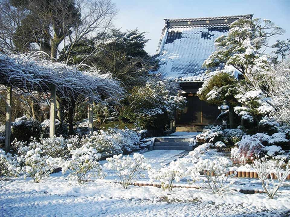 円城寺墓苑　樹木葬　Forest Gardenの画像