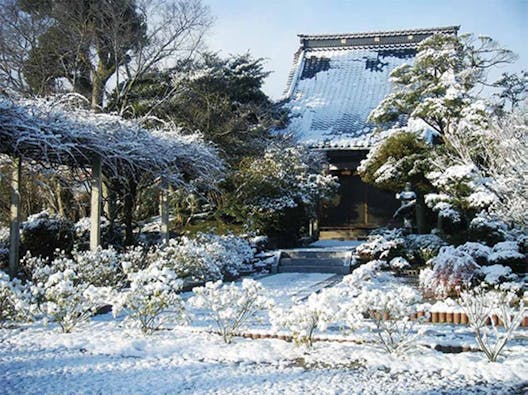 円城寺墓苑 樹木葬 Forest Garden