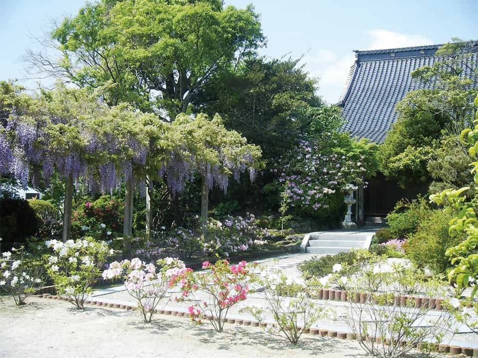 円城寺墓苑 樹木葬 Forest Garden(佐賀市)の費用・口コミ・アクセス