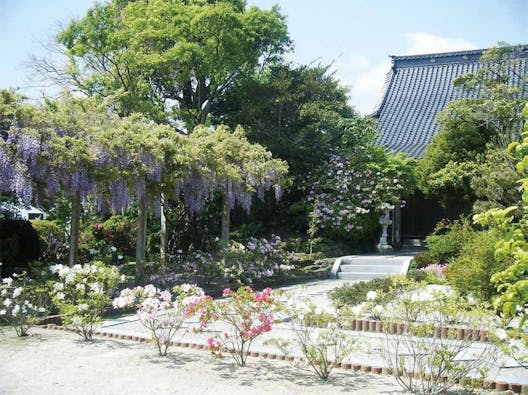 円城寺墓苑 樹木葬 Forest Garden