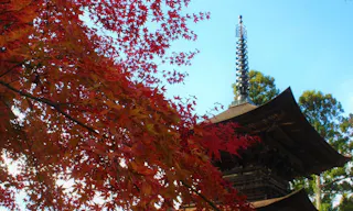 国宝三重塔 大法寺 永代供養墓・樹木葬