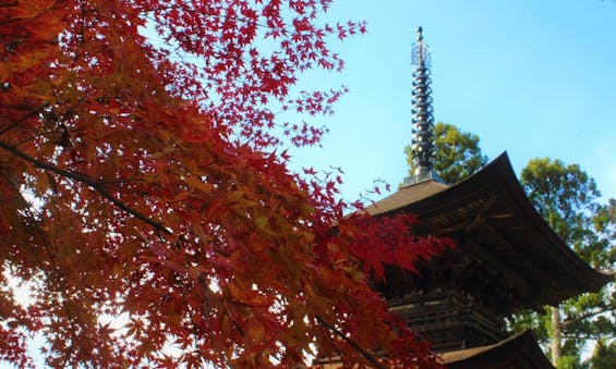 国宝三重塔 大法寺 永代供養墓・樹木葬