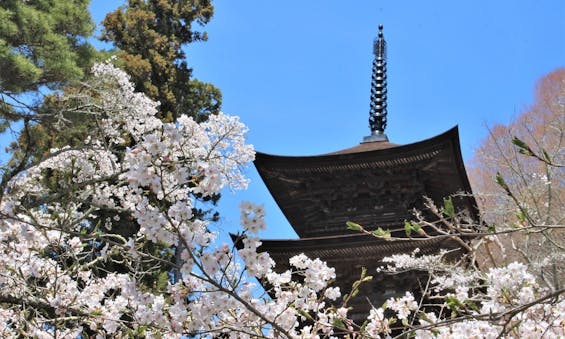 国宝三重塔 大法寺 永代供養墓・樹木葬