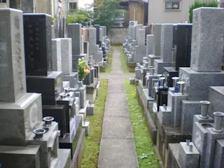 遍照寺