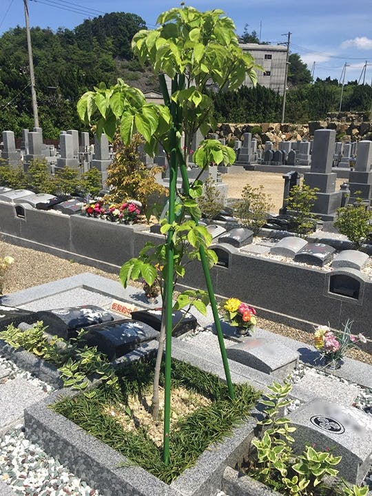 瓶割山樹木葬墓苑 やわらぎ苑(滋賀県近江八幡市)の概要・価格