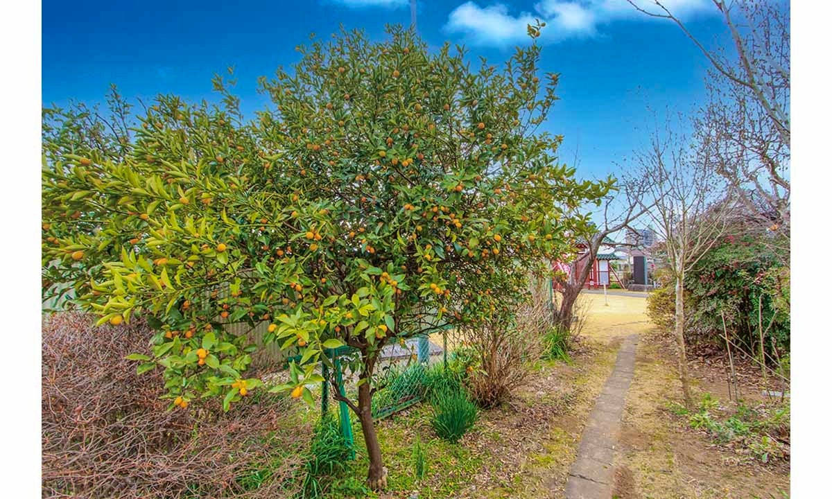 西福寺 永代供養家族墓「想空の碑」Ⅱ