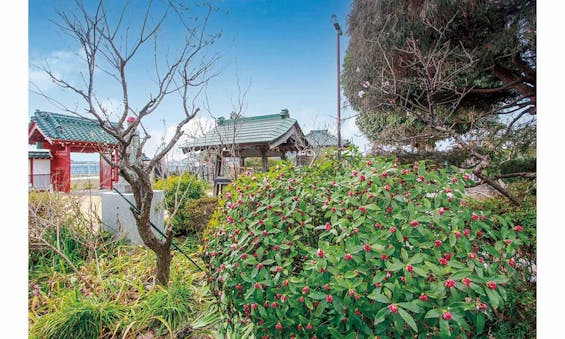 西福寺 永代供養家族墓「想空の碑」Ⅱ