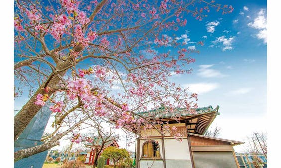 西福寺 永代供養家族墓「想空の碑」Ⅱ