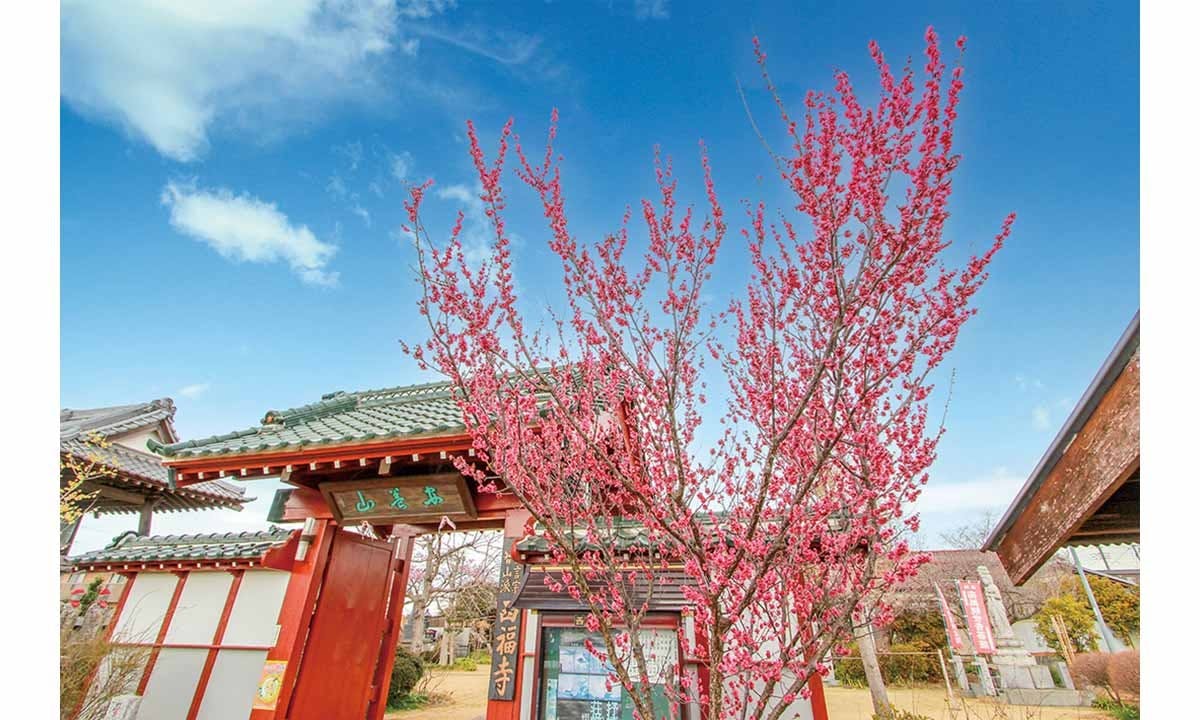 西福寺 永代供養家族墓「想空の碑」Ⅱ