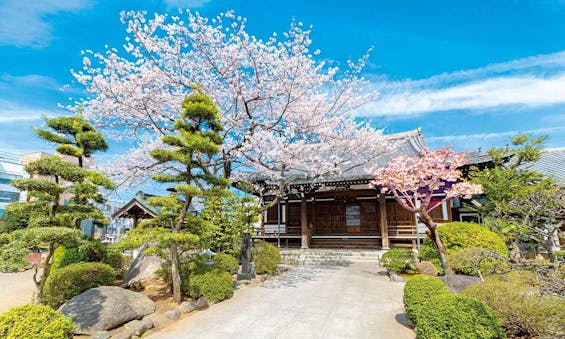 満願寺・永代供養墓 樹木葬