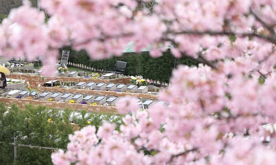 ガーデニング・樹木葬霊園 やいづさくら浄苑