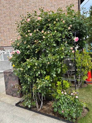 サンク川口霊園