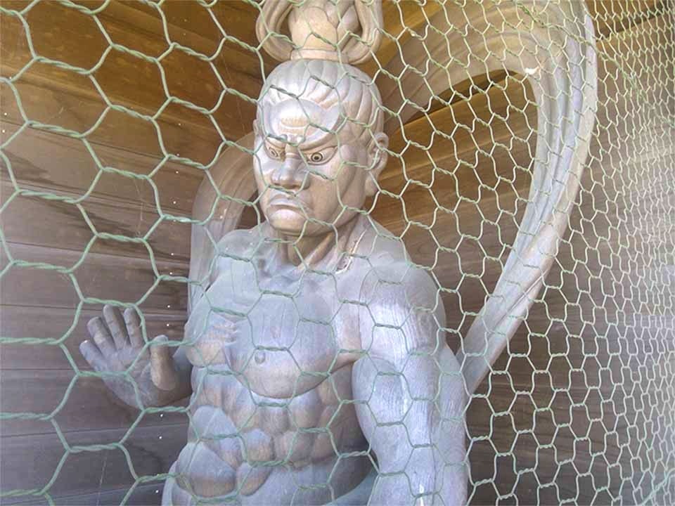 高林寺墓苑 樹木葬