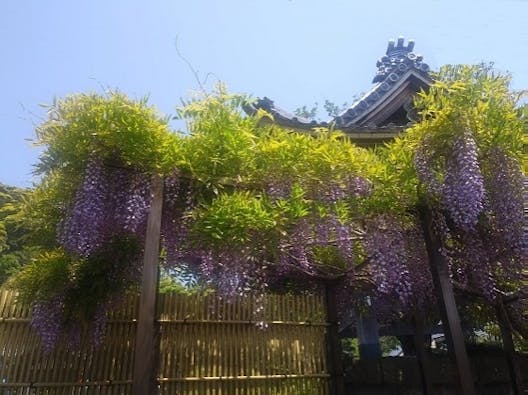 鎌倉樹木葬墓地・安穏廟